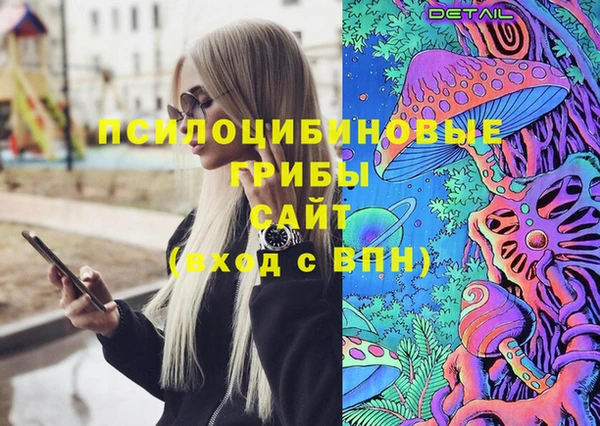 шишки Абинск