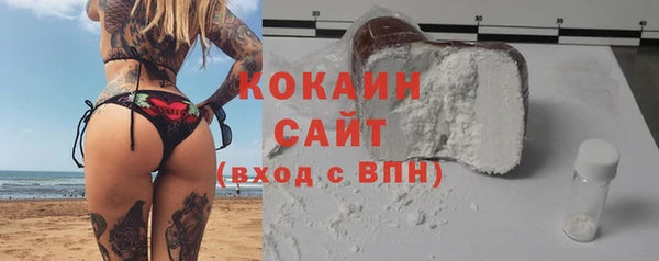 шишки Абинск