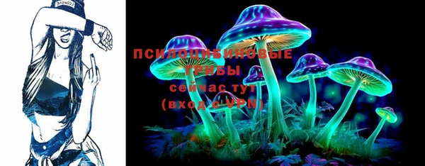 шишки Абинск