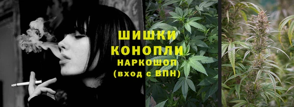 шишки Абинск